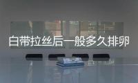 白带拉丝后一般多久排卵