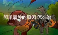 卵巢囊肿的原因 怎么治好的快呢？