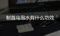 制首乌泡水有什么功效