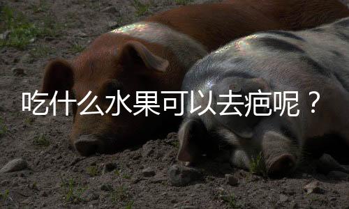 吃什么水果可以去疤呢？