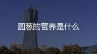 圆葱的营养是什么