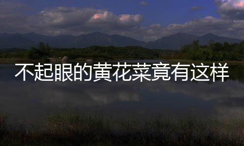 不起眼的黄花菜竟有这样的功效 黄花菜食谱推荐