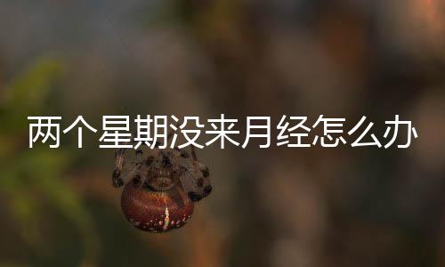 两个星期没来月经怎么办?