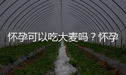 怀孕可以吃大麦吗?怀孕吃什么比较好