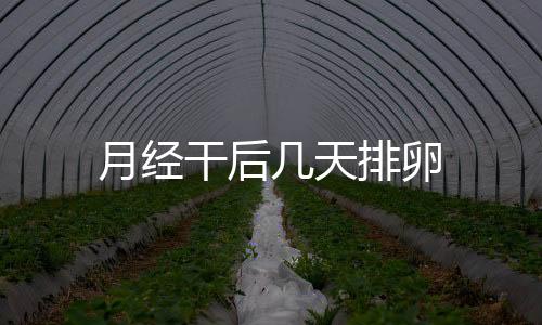 月经干后几天排卵