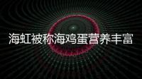 海虹被称海鸡蛋营养丰富味道鲜美 挑选海虹个体越大越好