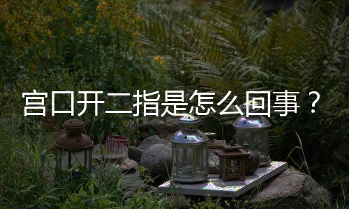 宫口开二指是怎么回事?