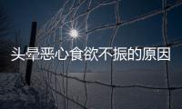 头晕恶心食欲不振的原因