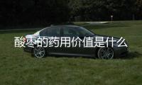 酸枣的药用价值是什么