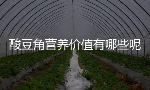酸豆角营养价值有哪些呢