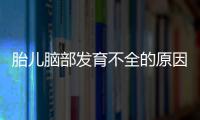 胎儿脑部发育不全的原因是什么