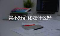 胃不好消化吃什么好