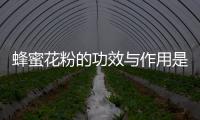 蜂蜜花粉的功效与作用是什么