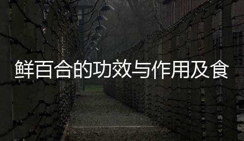 鲜百合的功效与作用及食用方法